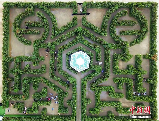 合家欢乐游戏_无锡合家欢游戏_合家欢游戏什么意思