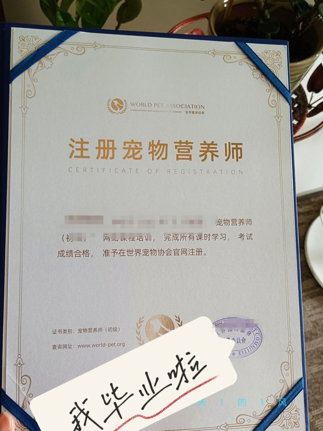 婚姻测试免费算一算_婚姻测试准吗可信吗_婚姻测试