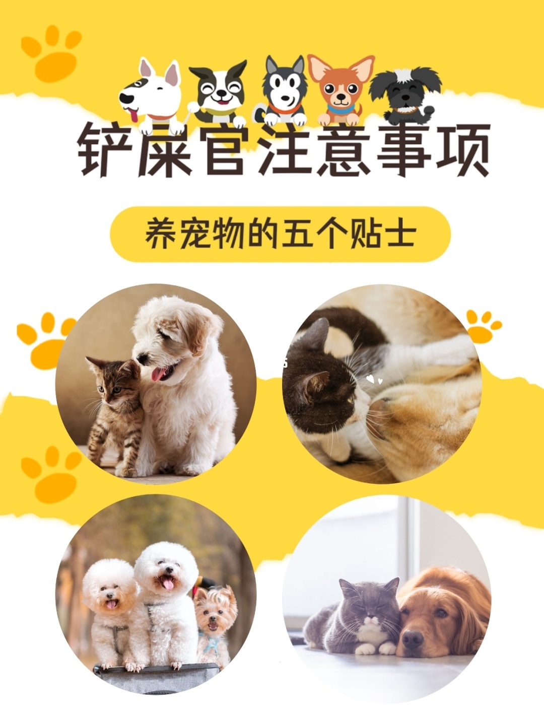 婚姻测试免费算一算_婚姻测试_婚姻测试准吗可信吗