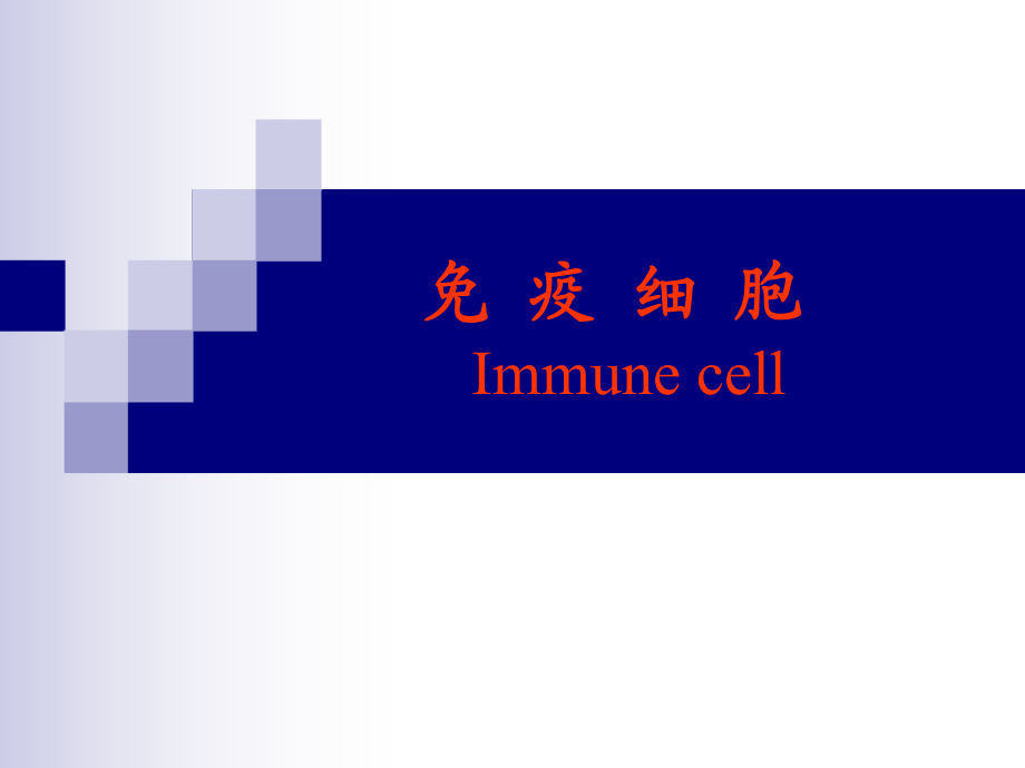 细胞淋巴瘤是癌症吗_细胞淋巴瘤_淋巴细胞