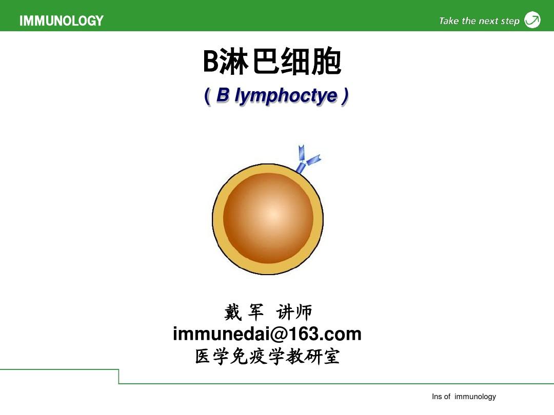 淋巴细胞_细胞淋巴瘤是癌症吗_细胞淋巴瘤