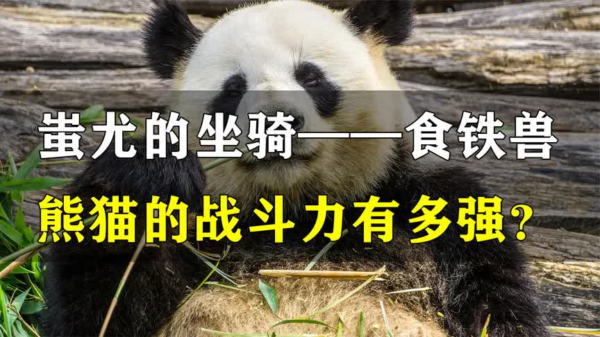 熊猫师打御灵好人是谁_熊猫人驭灵师要哪个宝宝好_熊猫人御灵师好打么?