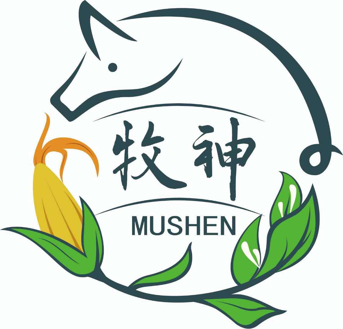 美女写真点无圣光_神牧圣光道标能点多少级_重现圣光祭坛点不了