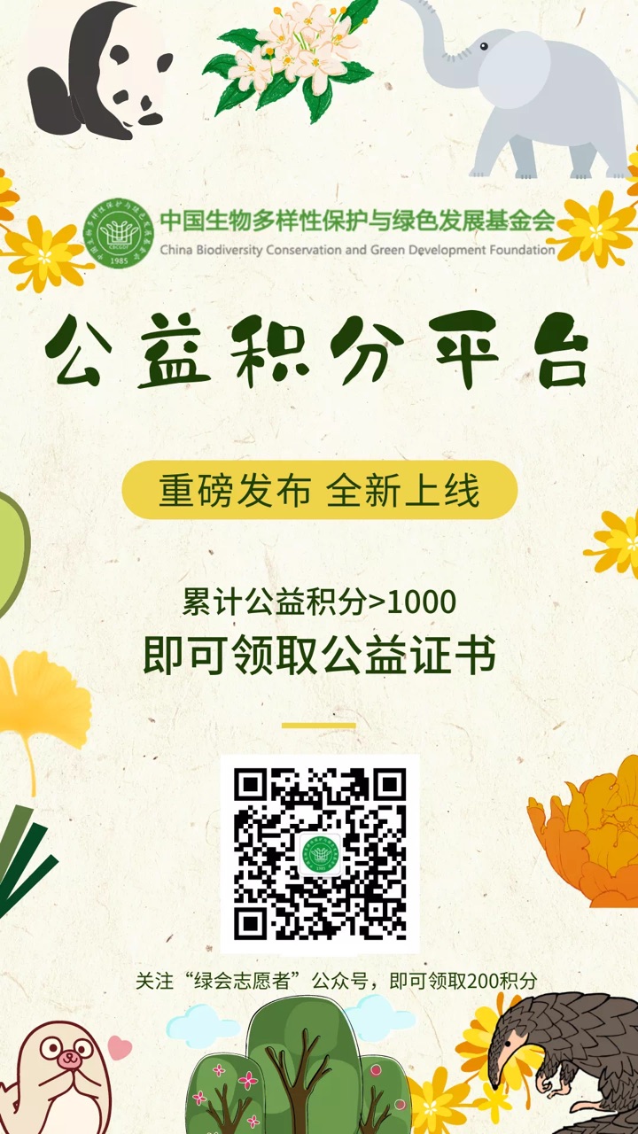 网页游戏公益服网站_网页游戏公益服平台_公益服手游平台网页版