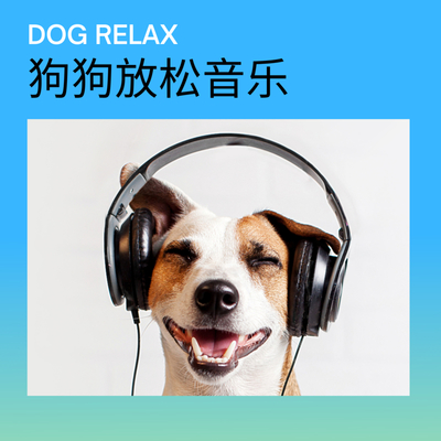下载崽崽_下载崽崽国际服_下载崽崽zepeto中文版