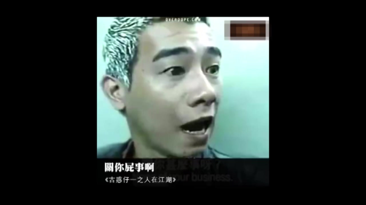 山鸡哥是谁_山鸡哥是什么意思_山鸡哥由来