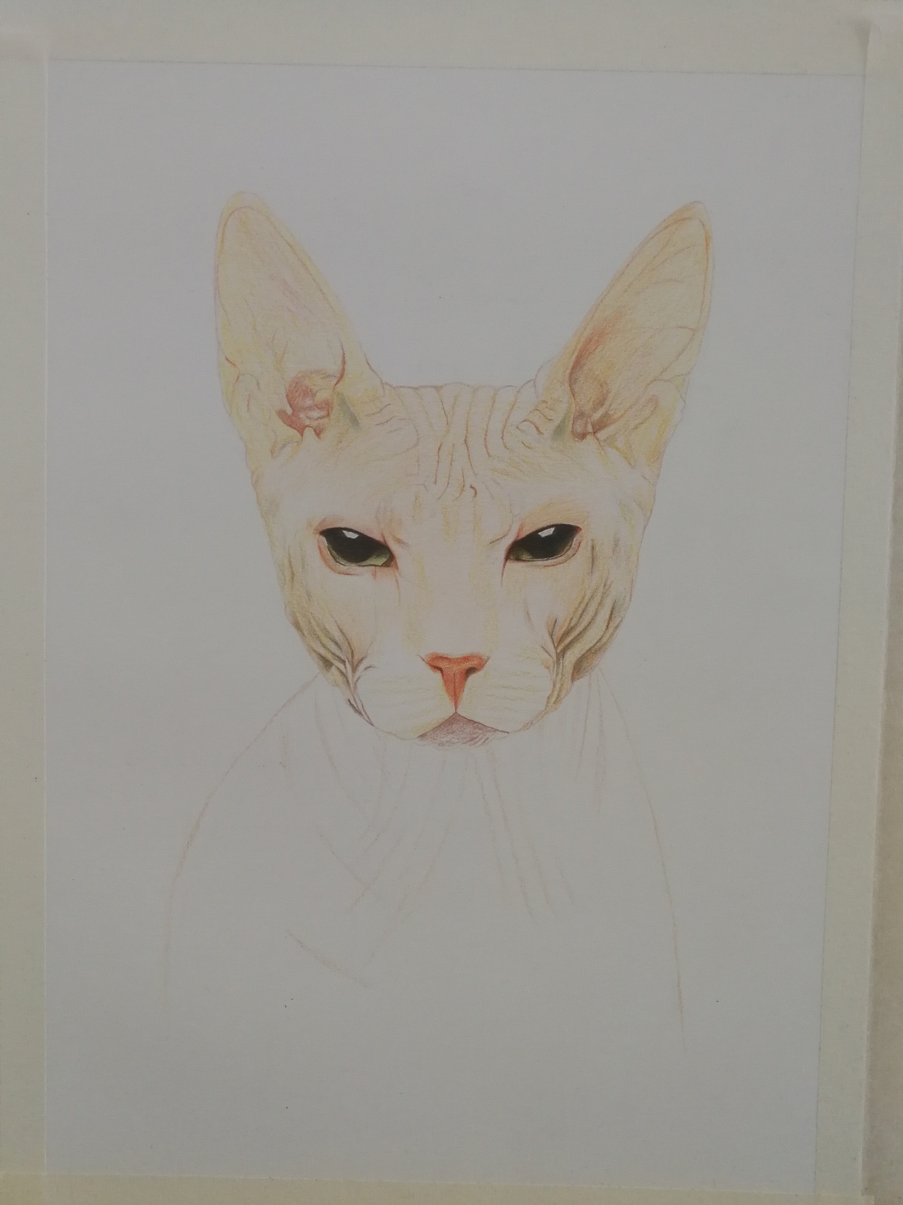 猫宫日向cos_猫宫日向_猫宫日向黑料