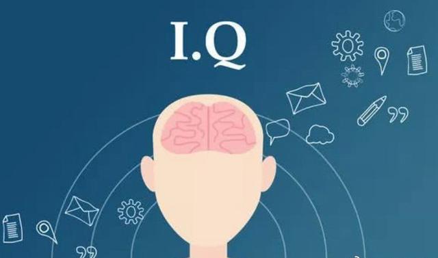游戏大型经营版手机能玩吗_经营游戏手机版大型游戏_经营类游戏手机