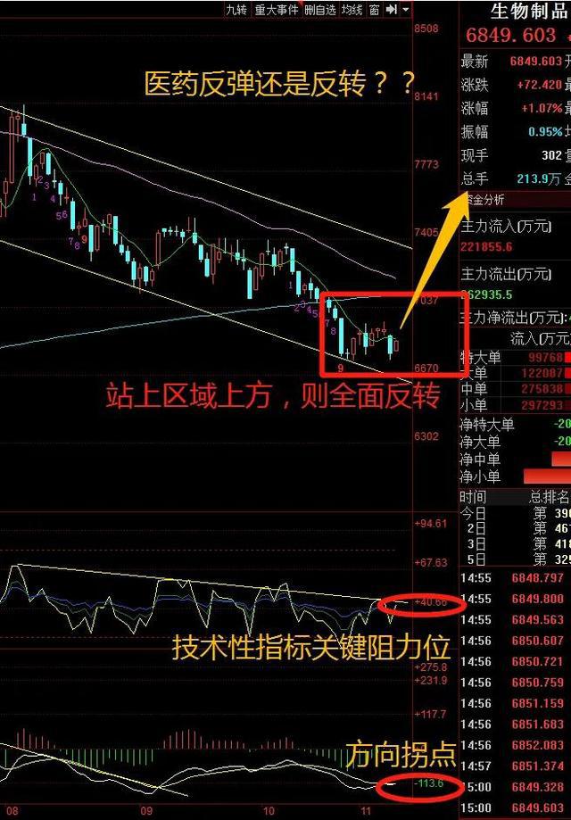 世界线收束-选择与机遇：收束世界线的奇妙力量