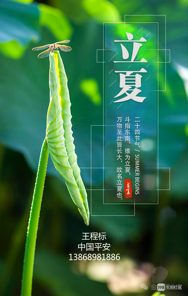 鸡蛋在夏天什么时候吃完比较好_立夏吃鸡蛋_立夏吃蛋的习俗