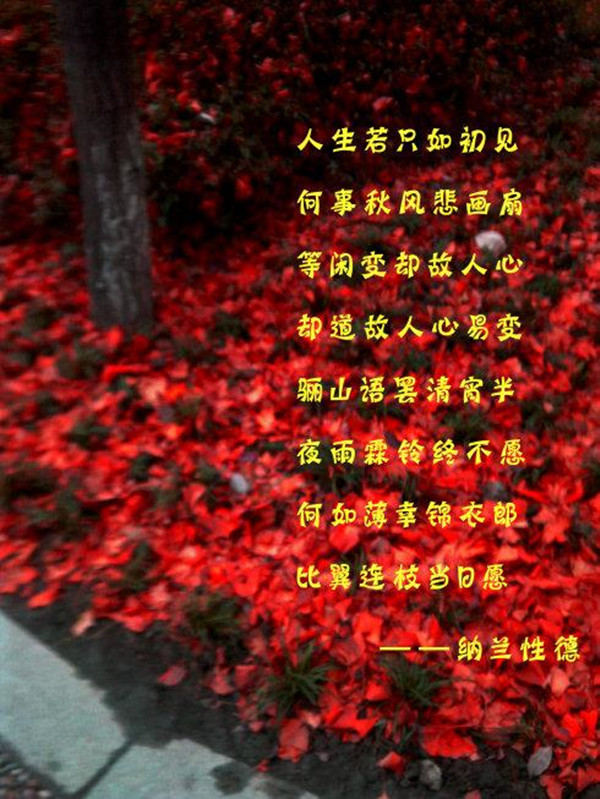 祭词语一一亲人_祭词_祭组词