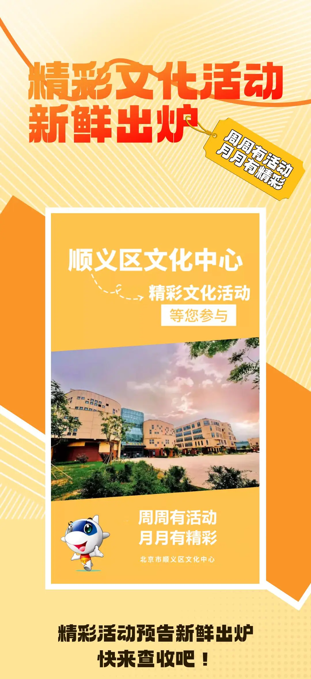 久纱野水_野丽莎加盟_水野丽莎