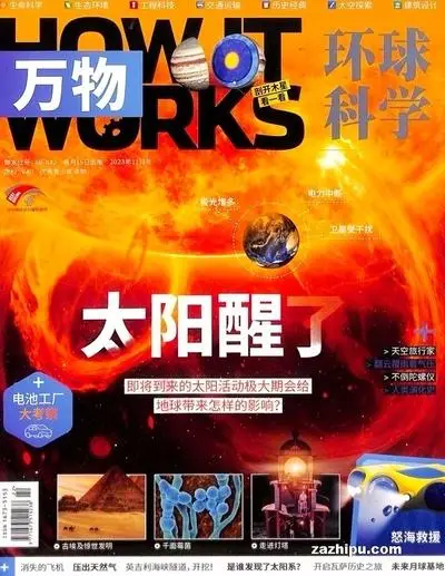 阿什拉_阿什拉猫_阿什拉