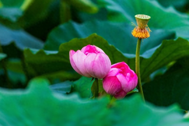 月经过后几天又出血了怎么回事_7月22_月光下的异世界之旅第二季