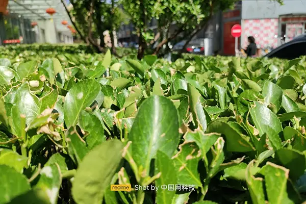 最有价值的手游_价值六千多的游戏手机推荐_价值推荐手机游戏排行
