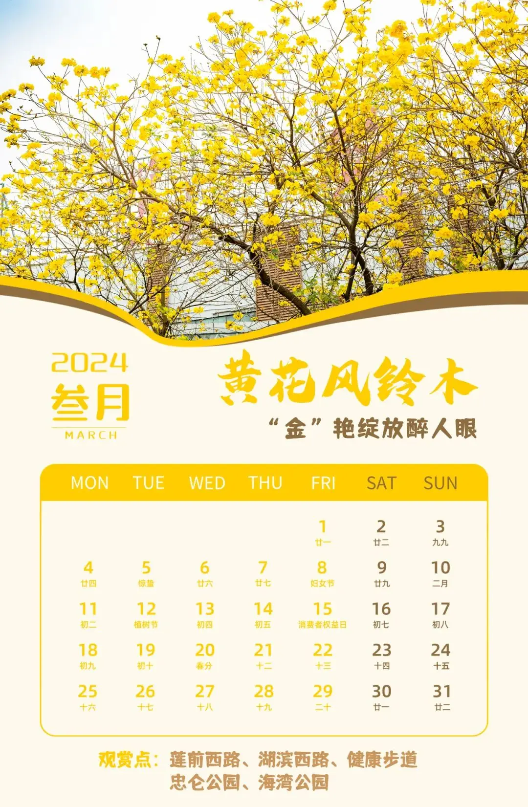 2024日历_日历2024年_日历2024年日历表全年