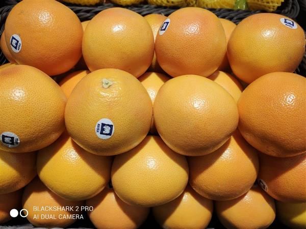 黑鲨2pro特色功能_黑鲨游戏手机2pro_黑鲨2pro手机游戏功能