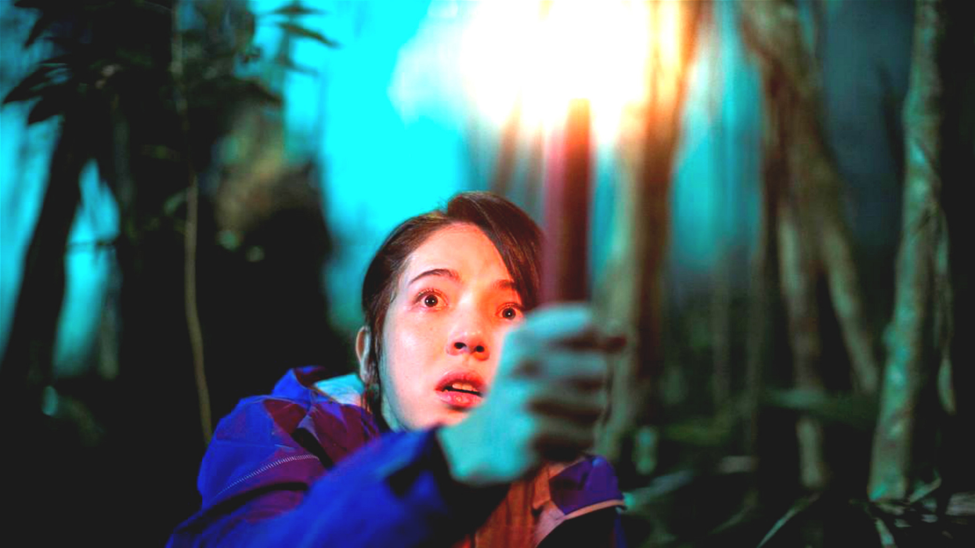 台湾恐怖片咒什么时候上映_台湾恐怖片咒_台湾恐怖片咒的真实事件