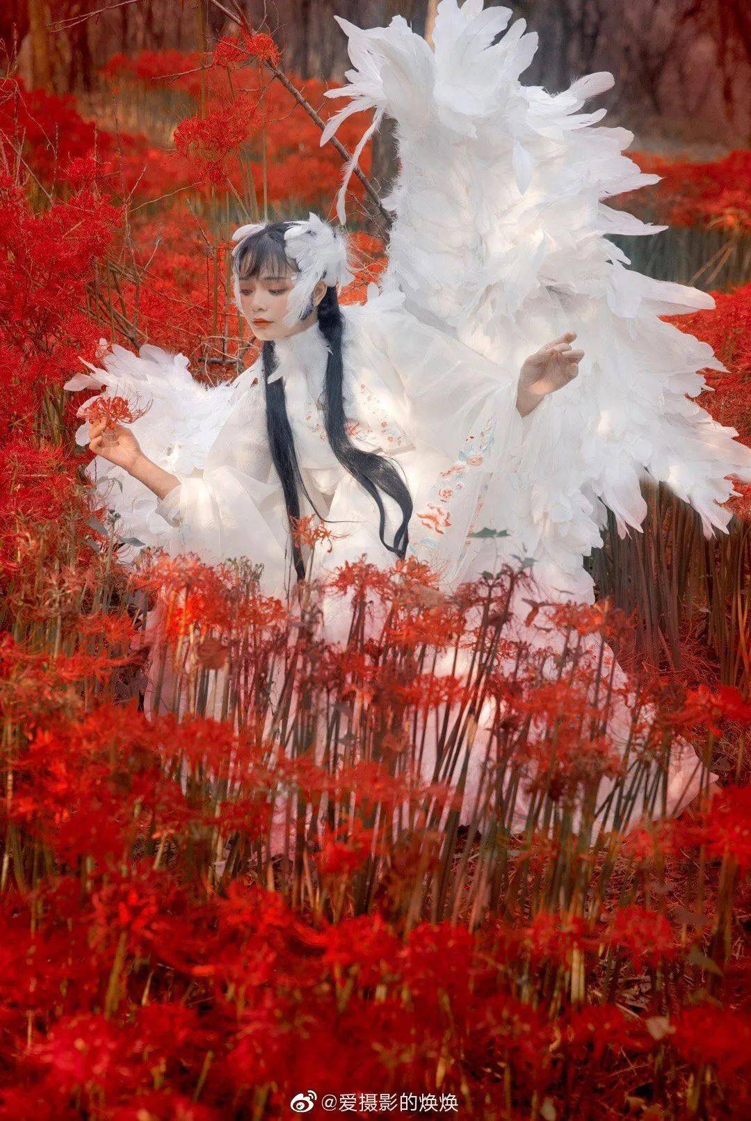 翻译计算机语言的软件_翻译计算机语言_计算机翻译