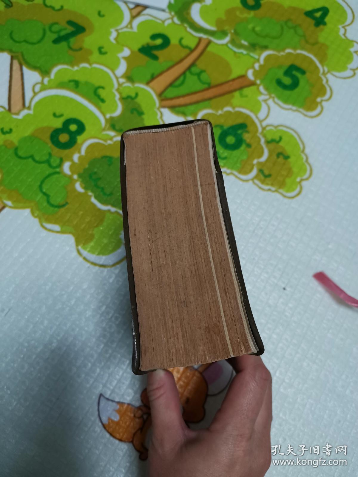 词典翻译成英文_词典翻译_有道词典翻译