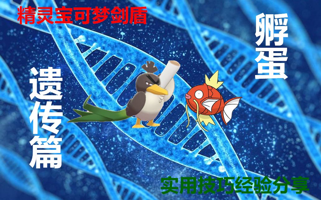 口袋妖怪梦话_口袋妖怪梦特什么意思_口袋妖怪梦性格大全