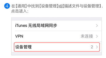 我可能玩了假游戏3 我可能玩了假游戏3