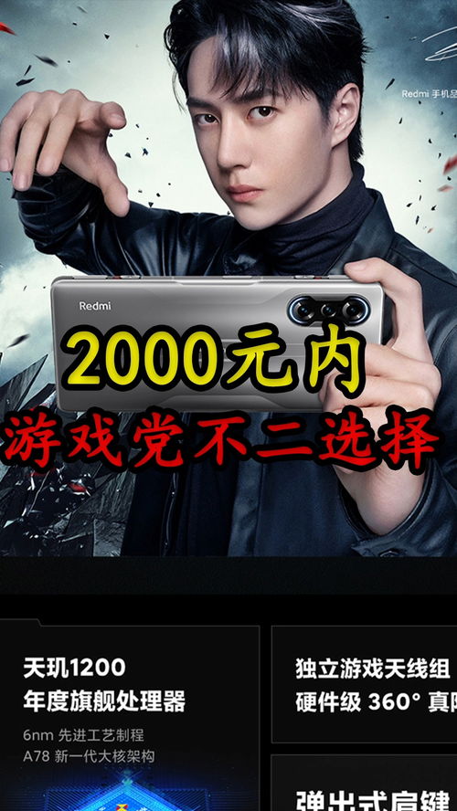 解压猫咪游戏手机安卓2024官方版v1.0.0 