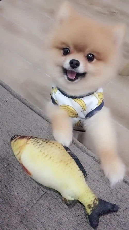 我要吃金豆2 