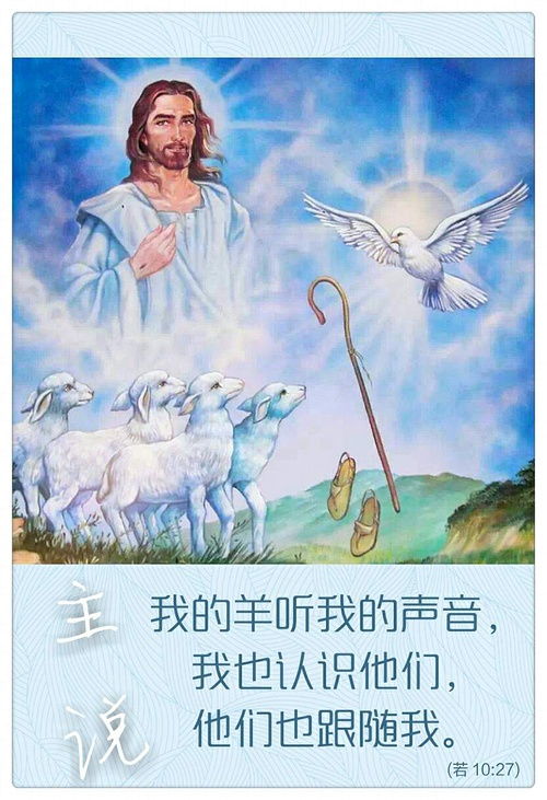 微读圣经app官网版下载 