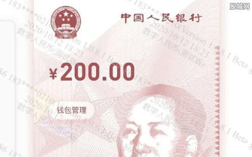 数字人生 