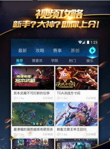 王者荣耀极光辅助 