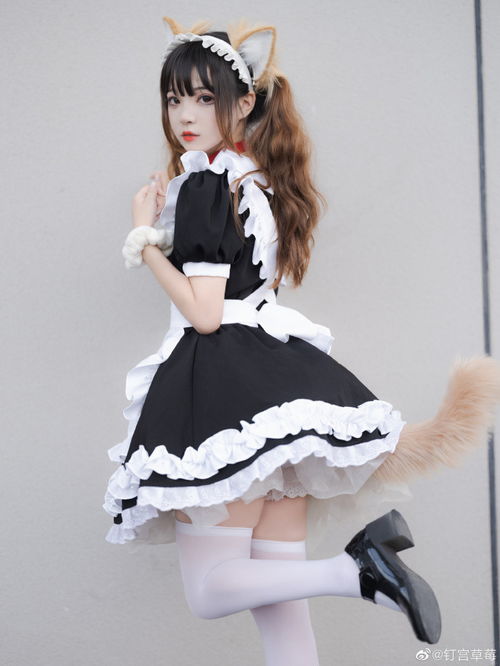 疯狂的猫女士 