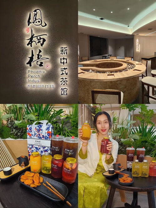 顺欣茶楼麻将 