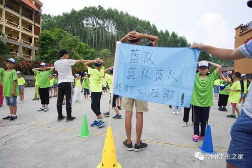 学生破冰游戏,激发学生互动与团队精神的活力瞬间