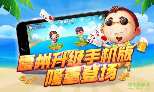 雷州升级游戏,解锁无尽宝藏