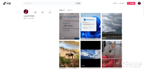 抖音来客网页版 