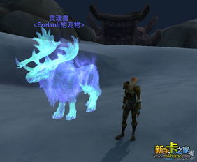 痛苦灵魂受折磨的灵魂手游下载 痛苦灵魂受折磨的灵魂手游下载