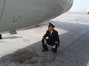 废品机械师2中文版游戏官网版2024下载 